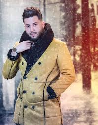 محمد السالم حالی حالی